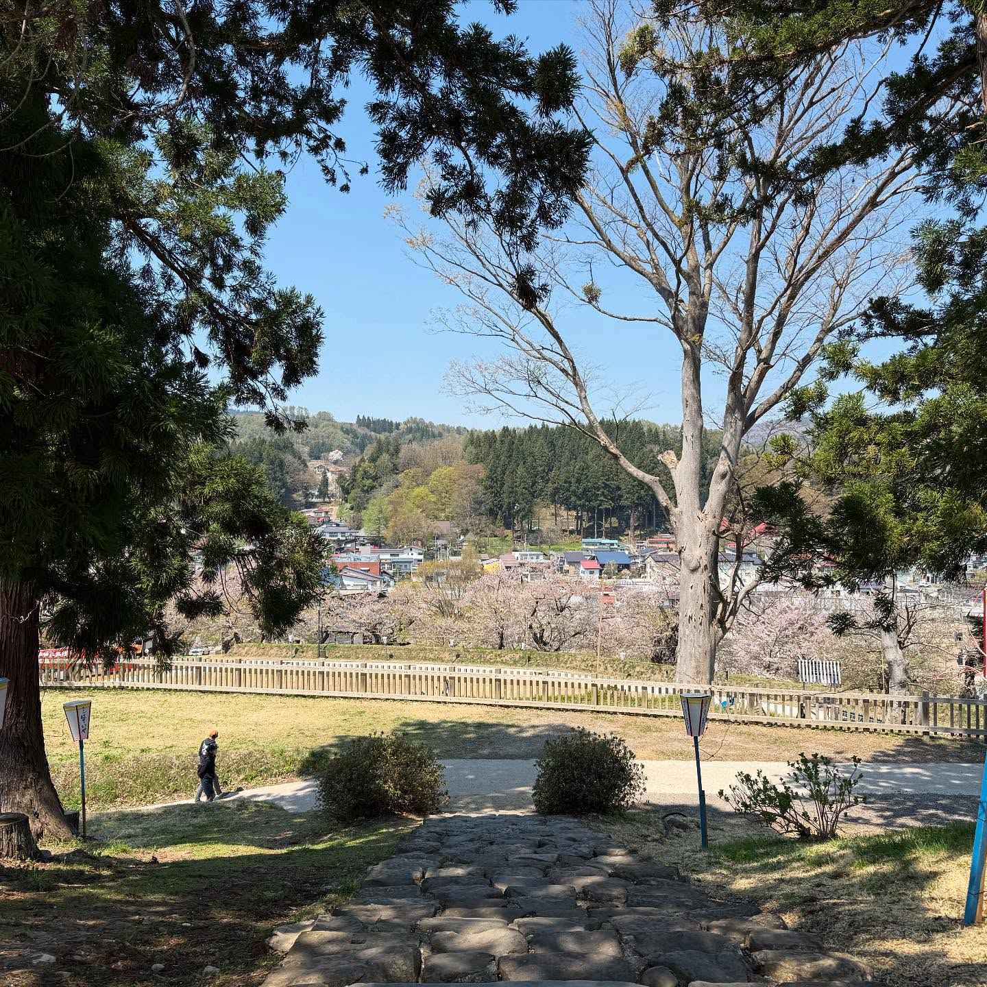 【春ですね〜☘️】