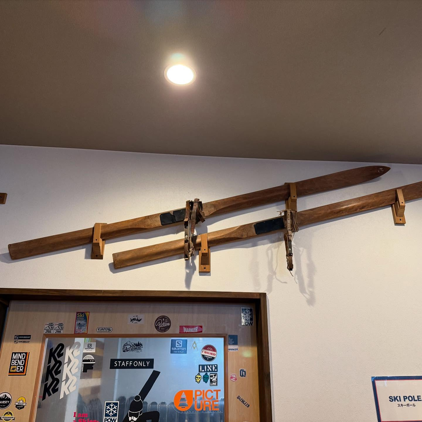 【春ですね〜☘️】