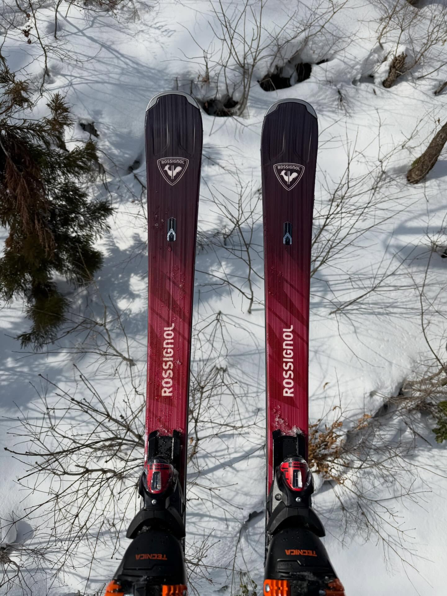 【オリンピック盛り上がってますね🇯🇵】