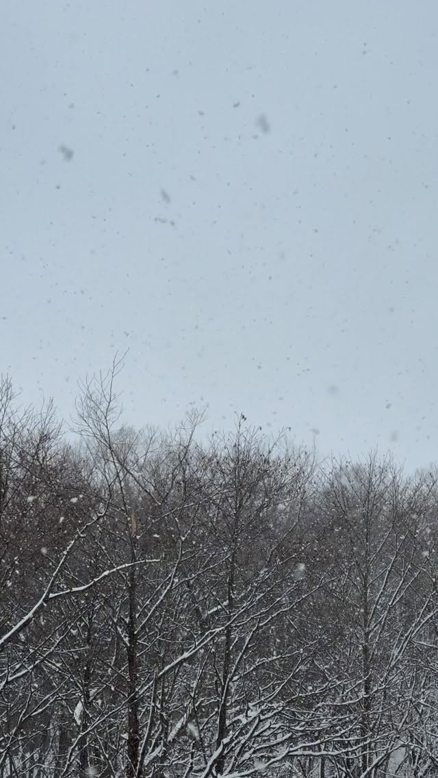 【第63回全日本スキー技術選手権大会】